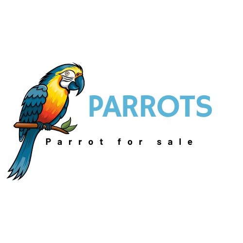 Parrots for sale